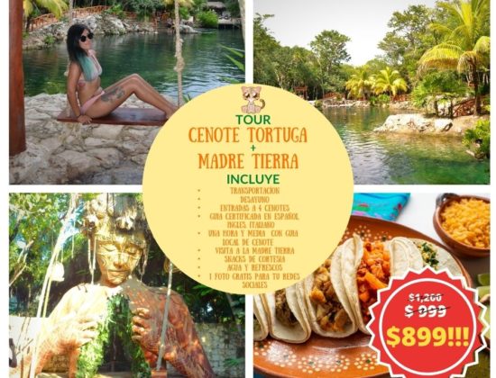 Tour  Cenote Casa Tortugas + Madre Tierra