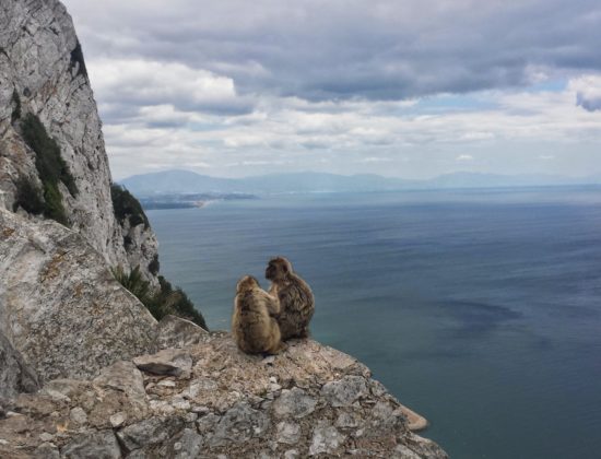 Excursión a Gibraltar desde Sevilla