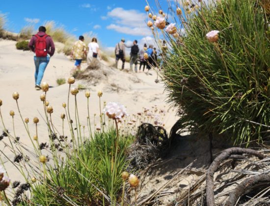 Excursión a Doñana desde Sevilla 2 días y 1 noche