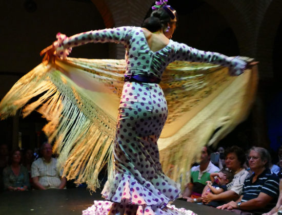 Flamenco y tapas en Sevilla