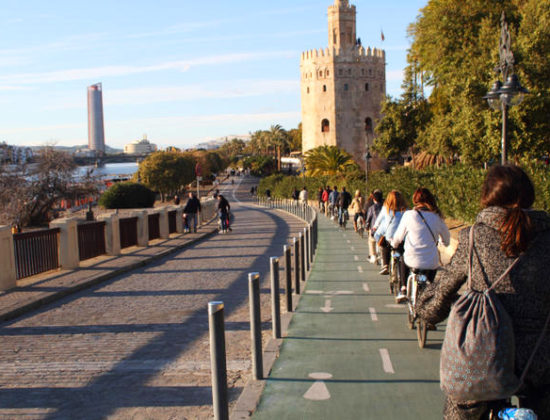 Tour guiado en bicicleta por Sevilla