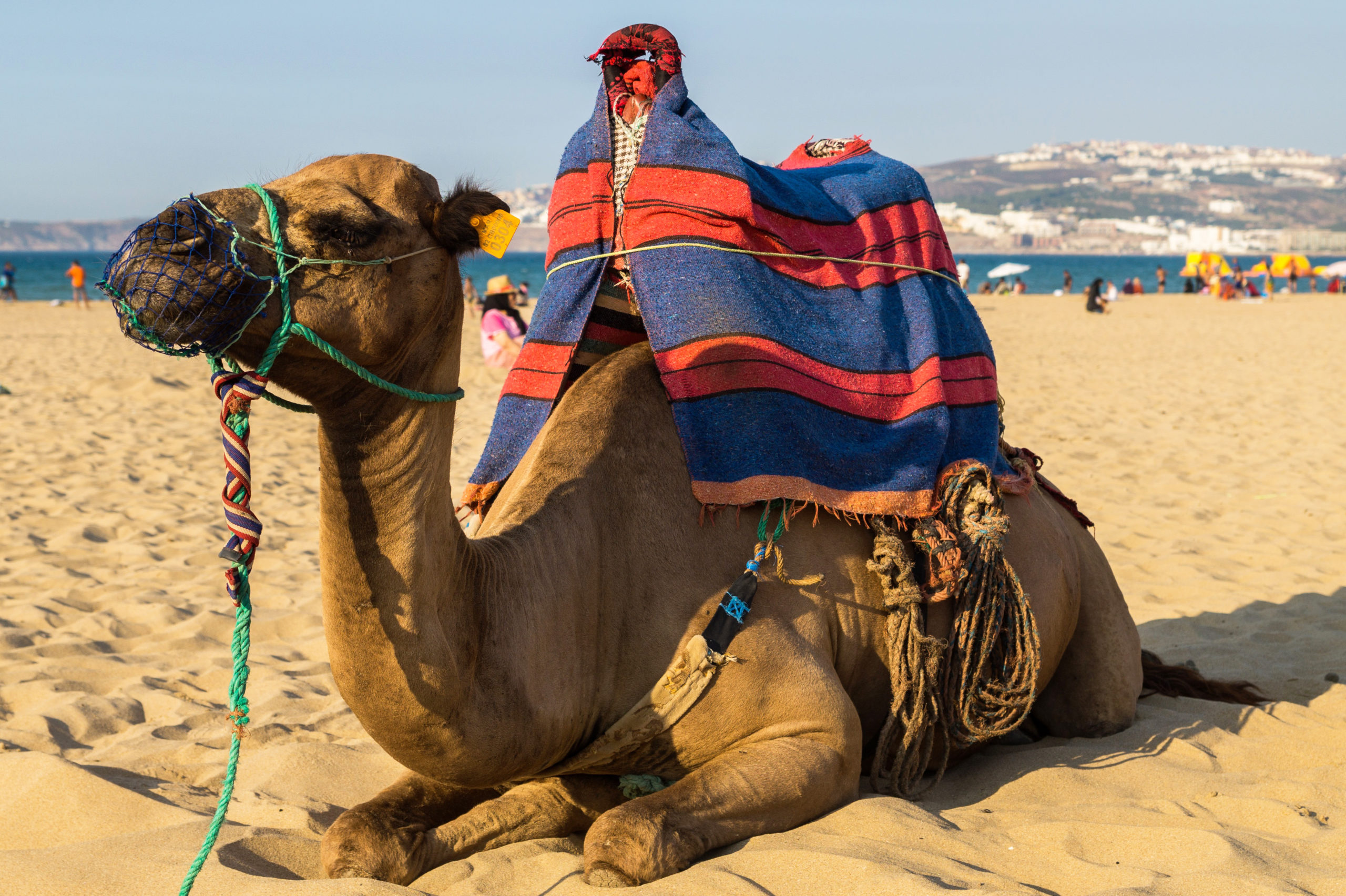 excursion marruecos desde tarifa