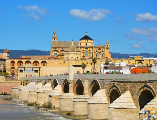 Visita guiada Mezquita y Judería