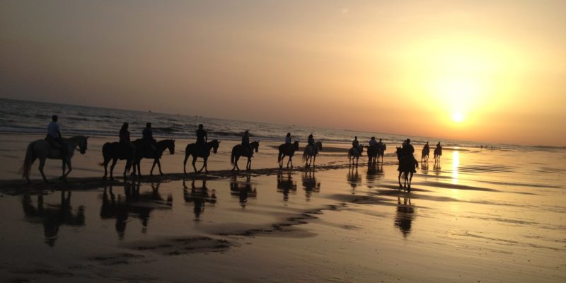 Excursión privada al Parque Nacional de Doñana