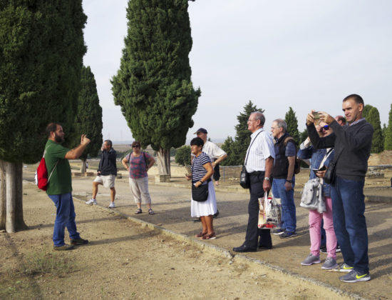 Excursión a Itálica desde Sevilla