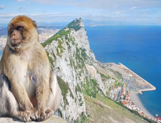 Visita guiada de Gibraltar con Rock Tour