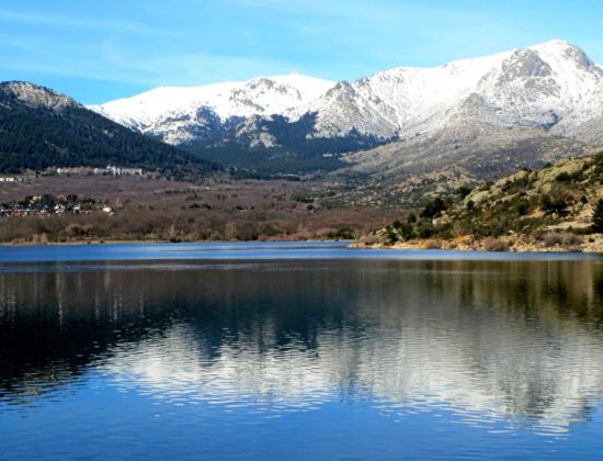 Excursión al Parque Nacional de Guadarrama y Castillo Manzanares el Real desde Madrid