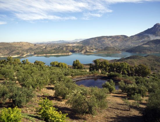 Excursión a los Pueblos Blancos y Ronda desde Sevilla 2 días 1 noche