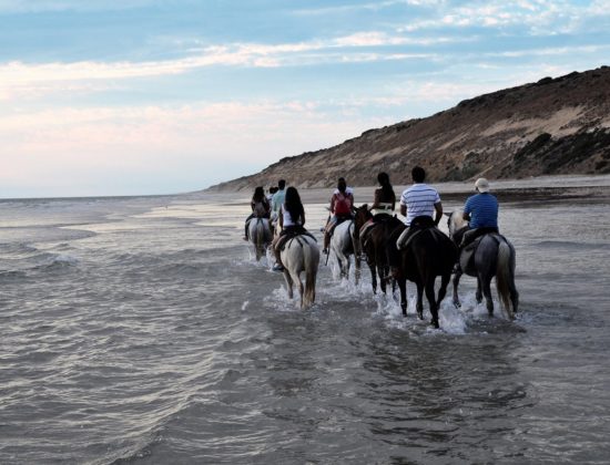 Ruta a Caballo por Doñana