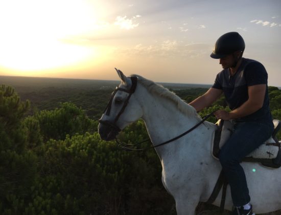 Ruta a Caballo por Doñana