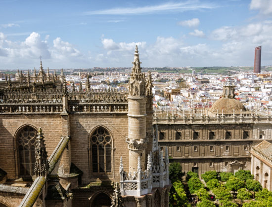 Visita guiada de Catedral de Sevilla y Giralda