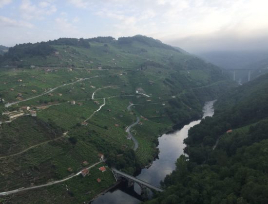 Paseo en Globo en Ribeira Sacra