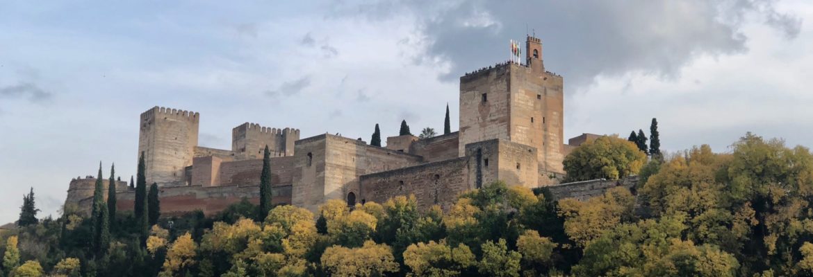 Alhambra and Generalife Private Tour