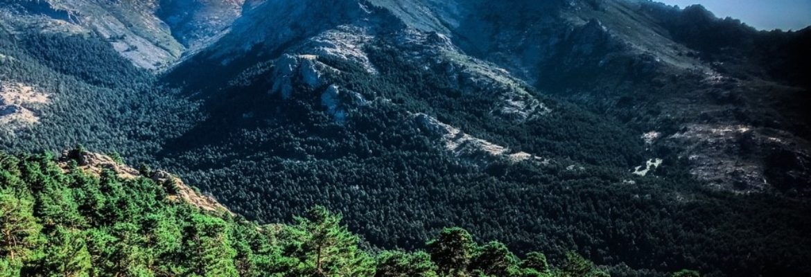 Ruta Senderismo/Trekking  "La Barranca" (SIERRA DE GUADARRAMA-MADRID)