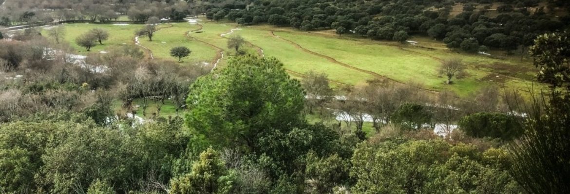 Ruta Senderismo/Trekking  "Cerro del Castillo" (SIERRA DE GUADARRAMA-MADRID)